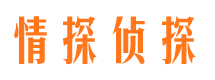 噶尔市私家侦探公司